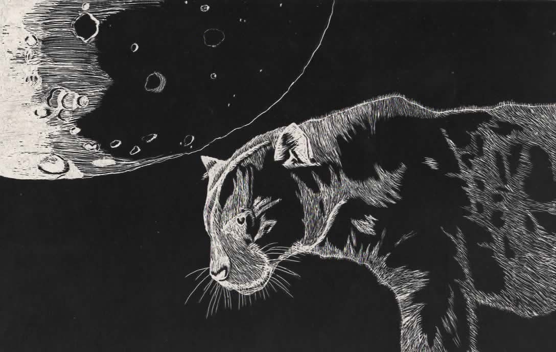 Moon Panther Etch